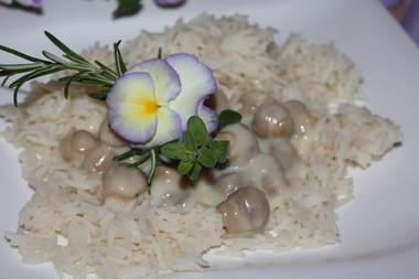 Reis mit kleinen Champignonköpfen in Zitronensoße