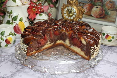 Zwetschgen Marmorkuchen