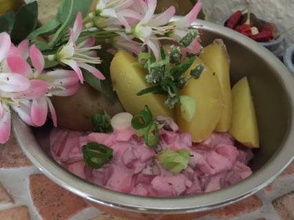 Matjes-Töpfle mit Roten Rahnen